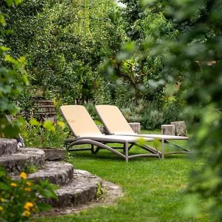 Carpe Diem Cserepfalu