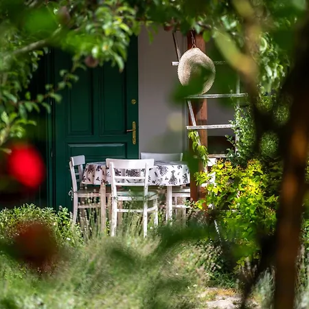 Carpe Diem Appartement *