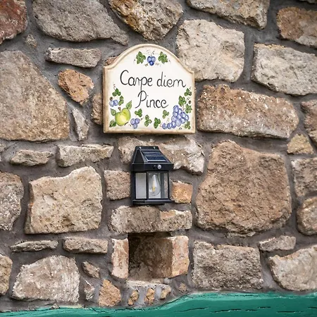 Carpe Diem *