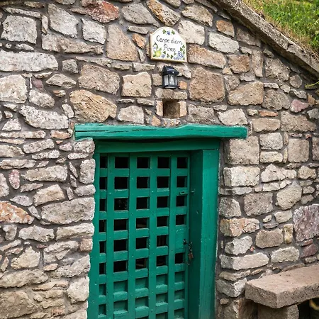 Carpe Diem Cserepfalu