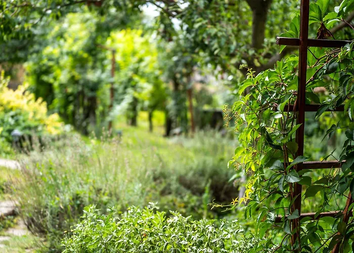 Carpe Diem Vendeghaz *