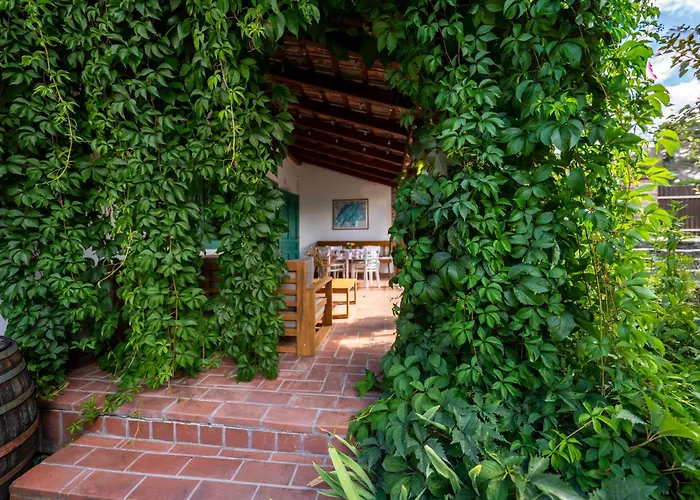 Carpe Diem Vendeghaz *